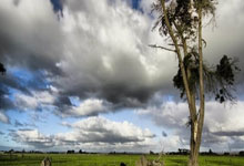 联赛半决赛迎来一场焦点战役