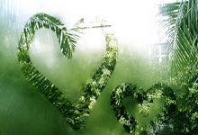 红黑军团取得重要胜利，助力晋级